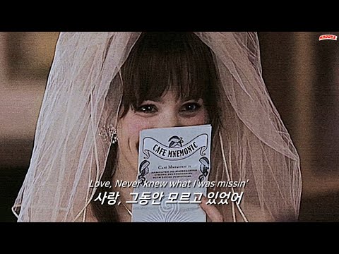 비디오 5