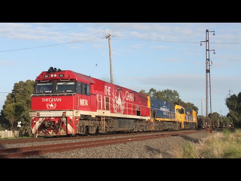 3PM4 with an 82 class plus Ghan and Indian Pacific Locomotives