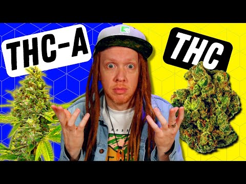 THCA vs THC: What's the Difference?