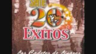 tarde cadetes de linares