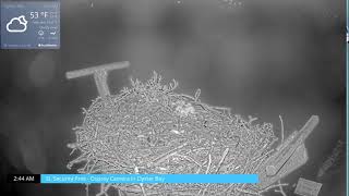 New York · Axis Q3518 live stream
