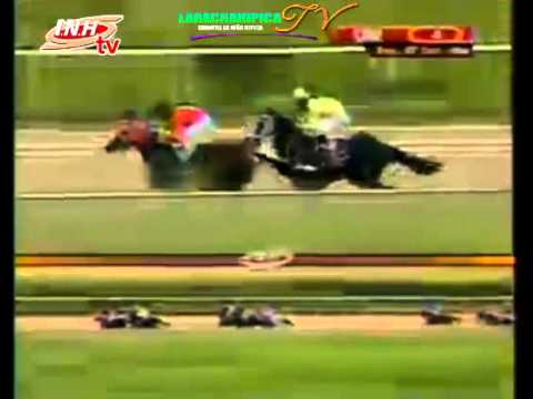 VALENCIA 4 CARRERA VIERNES 07 DE NOVIEMBRE DEL 2014