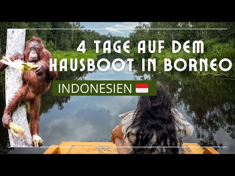 4 Tage Hausboot Tour in Borneo im Tanjung Puting Nationalpark - deutsch - Vlog - Preise - Anreise