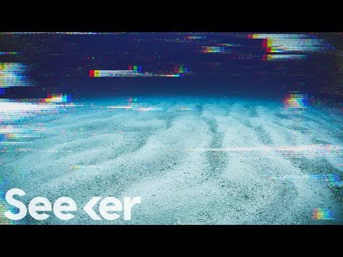 The World’s Seafloor Is Rapidly Dissolving, Here’s Why