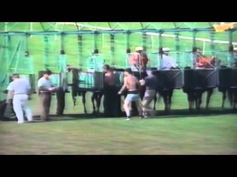 Nagroda Europy - 19.08.1995 - Kishan (Santhos - Kithara)