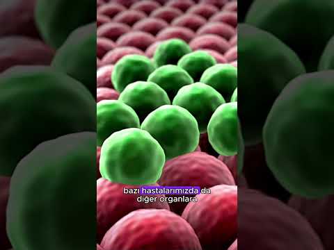 Kanserde Metastaz Riski: Kanda Dolaşan Tümör Hücreleri (CTC) Testi | Prof.Dr. Tülay Akman