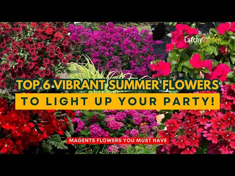 Party Planted: Top 6 Vibrant Summer Flowers to Light Up Your Party! 🥀🌺🌹 // Gardening Ideas