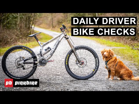What Bikes Are Everyday Riders Riding? | Daily Driver Bike Checks