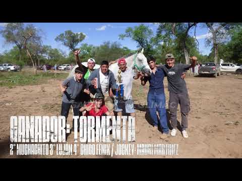 TORMENTA VS MUCHACHITO VS LUJÁN VS CHICO FÉNIX