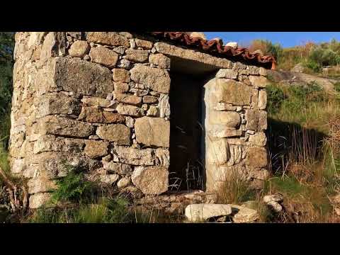 Senda del Puerto del Peón (Parque Regional Sierra de Gredos- PR-AV 18 - Ávila)
