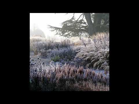 [free for profit] sad indie x indie pop type beat - "multicolor"