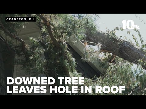 Tenants frustrated with downed trees; property management responds