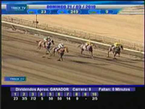 Resumen domingo 21 de Marzo 2010 - La Rinconada