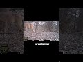 Up Close with Nature: Young Whitetail Deer Spotted in Michigan