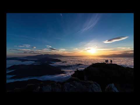 Sermon on Prayer - S.M. Lockridge