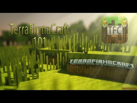 TerraFirmaCraft 101 - ep 1 - Your first day.