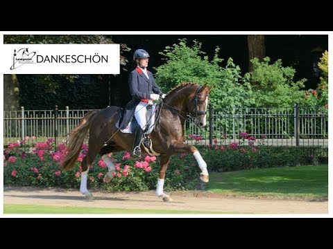 DANKESCHÖN