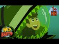 Deep Sea Adventures 🌊 | Sharks, Fish, and Frogs with Wild Kratts | 9 Story Kids