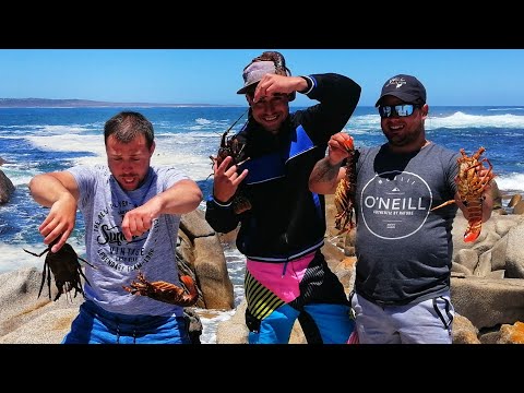 EP 16 - West coast Crayfish Season | Diving crayfish in paternoster