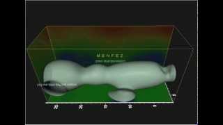 EMFAD-PROTON MANYETOMETRE-OKM DEDEKTÖR-PULSE DEDEKTÖR- ALAN TARAMA