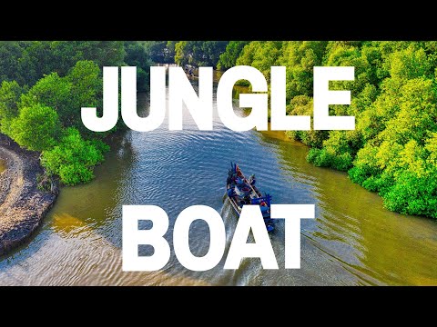 Palo Verde Jungle Boat Wildlife Tour in Costa Rica