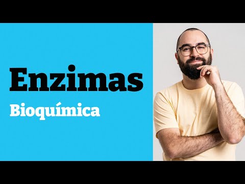 Enzymes - Class 07 - Module 1 - Biochemistry - Prof. Guilherme