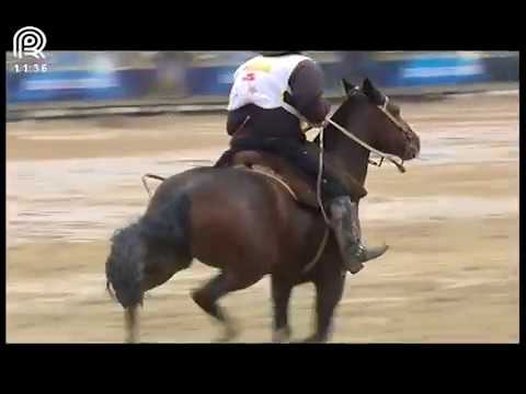 FICCC de Esteio (RS) – 3° lugar fêmeas – Querência da Boa Vista (Prova: Bayard/Sarmento)