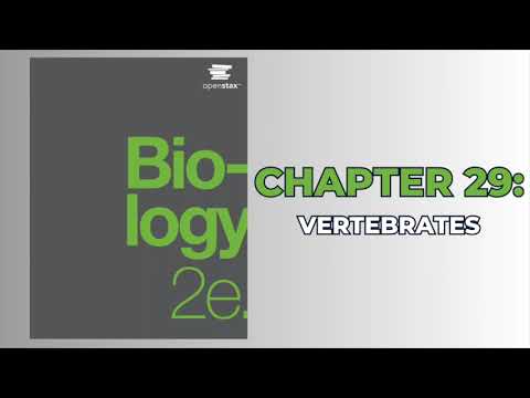 OpenStax Biology 2e (Audiobook) - Chapter 29: Vertebrates