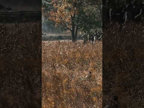 Confederate General Maney Strikes – Perryville Reenactment 2022