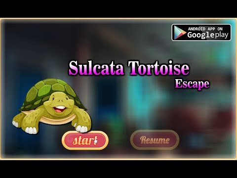 Sulcata Tortoise Escape walkthrough AVMGames