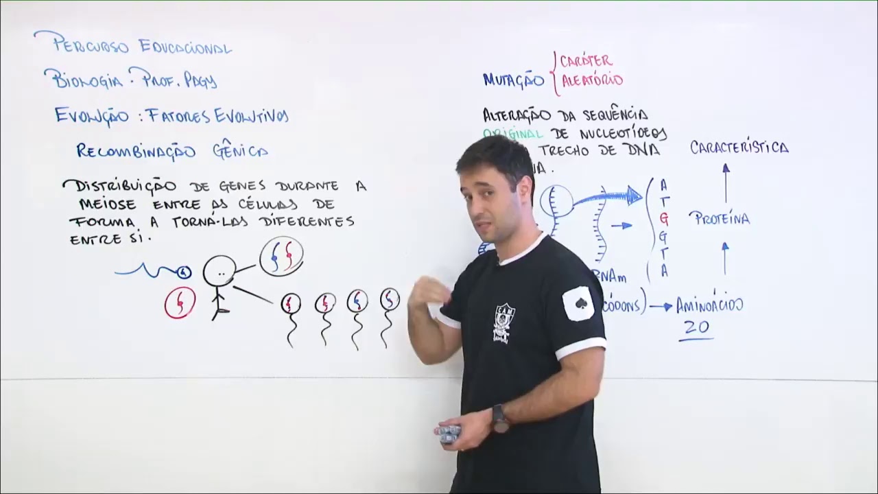 Fatores Evolutivos - prof. Pagy