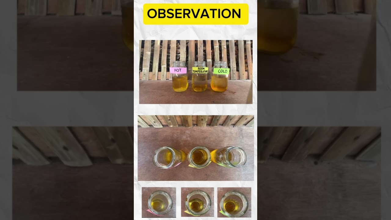 Lab Activity 1: Temperature and Heat