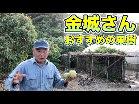 アッカ・セロウィアナ