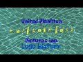United Plankton Pictures Inc Logo History