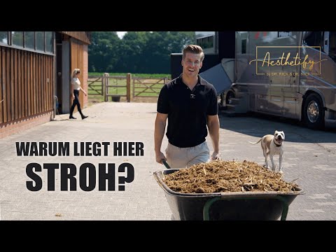 AESTHETIFY VLOG Folge 08: Vom Arzt zum Stallburschen 👨‍⚕️➡️🐴 | Katha zeigt Nick, wie's geht