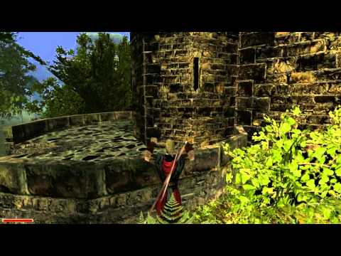 Let's play Gothic 2 DNDR 028 Die Kompetenz auf zwei Beinen.mp4