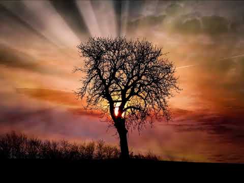 Morgenglanz der Ewigkeit  --  NAK-Chor Bielefeld, Baritonsolo: Günter Missenhardt, Liveaufnahme