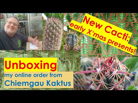 Unboxing New Plants for my Cactus Collection - Early Christmas Presents! #cactus #cacti #greenhouse