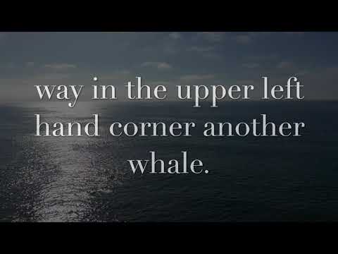 Coolest girl in La Jolla