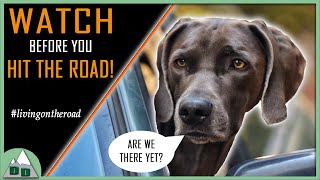 ROAD TRIP w/ a DOG! | Tips & Preparation