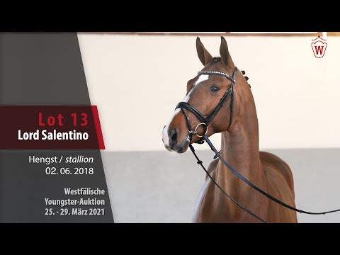 Westf. Youngster-Auktion 25.- 29. März 2021 Lot 13 Lord Salentino Hengst v. Lord Loxley - Sandro Hit