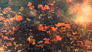 M357 - Burial