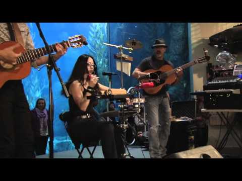 Sombra Quieta, Bamboleo, Live at Long Beach Aquarium