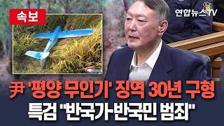 [????속보] 특검, '평양 무인기' 尹에 징역 30년 구형…반국가·반국민 범죄 / 연합뉴스TV(YonhapnewsTV)