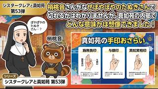 シリーズ シスタークレアと真如苑 第53弾 梢桃音さんがなぜぽやぽやのたぬきさんで切れるかはわかりませんが、真如苑の内部でどんな意味かは想像できました！真如苑の手印おさらい