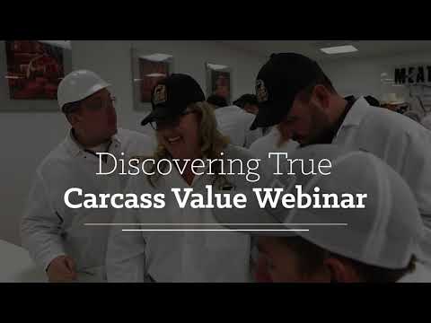 Discovering True Carcass Value Webinar Promo