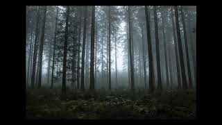 Arte 2020. Cómo se presenta?