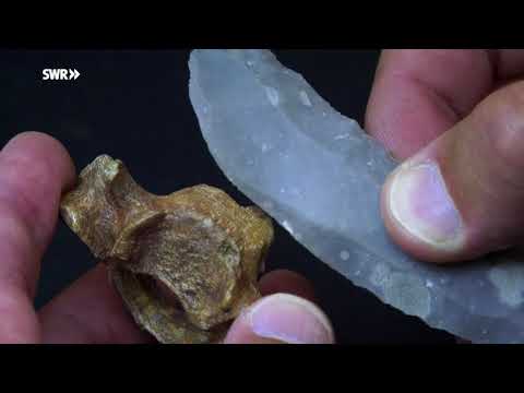 Das Nördlinger Ries