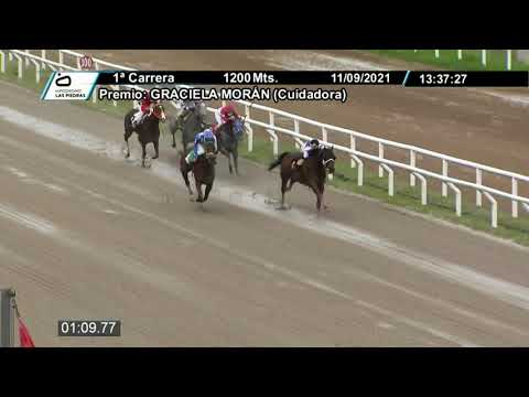 210911 c01 - STORYTELLER - HIPODROMO LAS PIEDRAS
