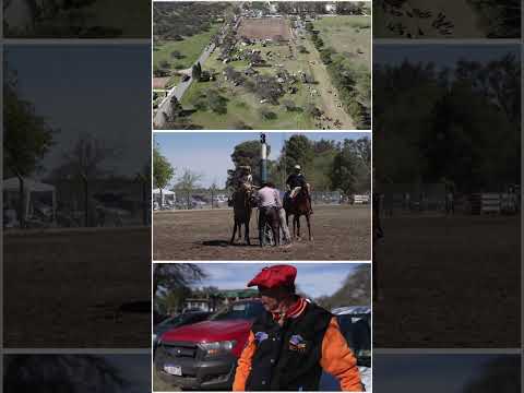 Falucho (La Pampa)